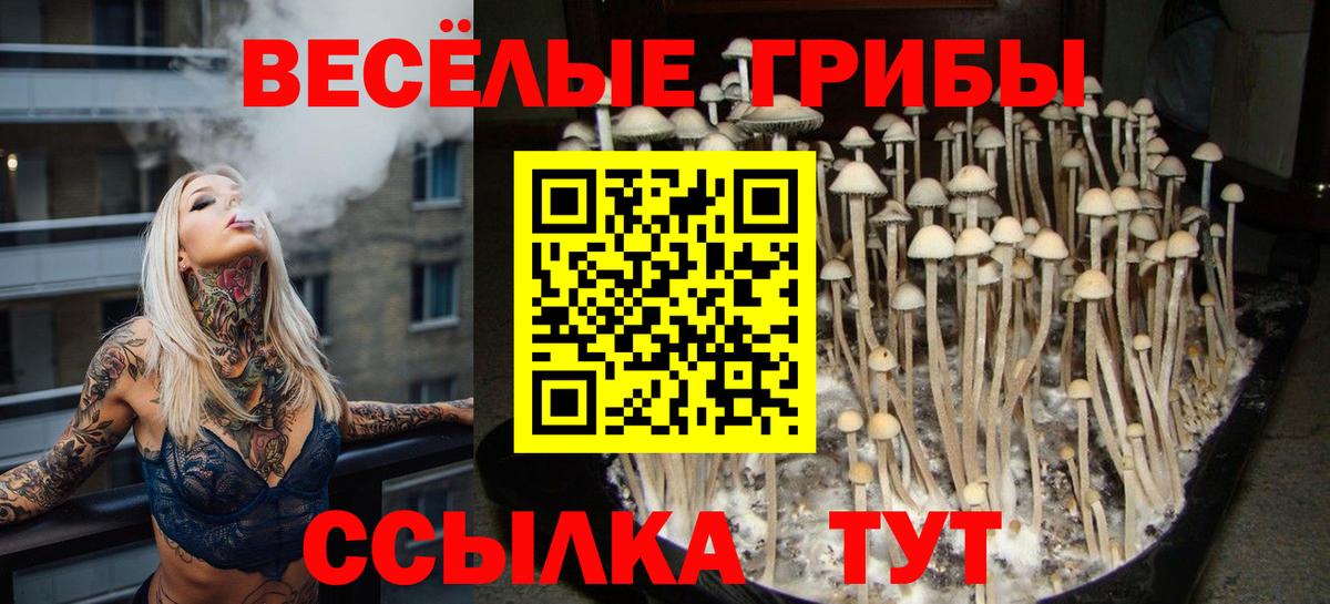 Псилоцибиновые грибы MAGIC MUSHROOMS  Галлюциногенные грибы прущие грибы  Вход с VPN  Киселёвск 